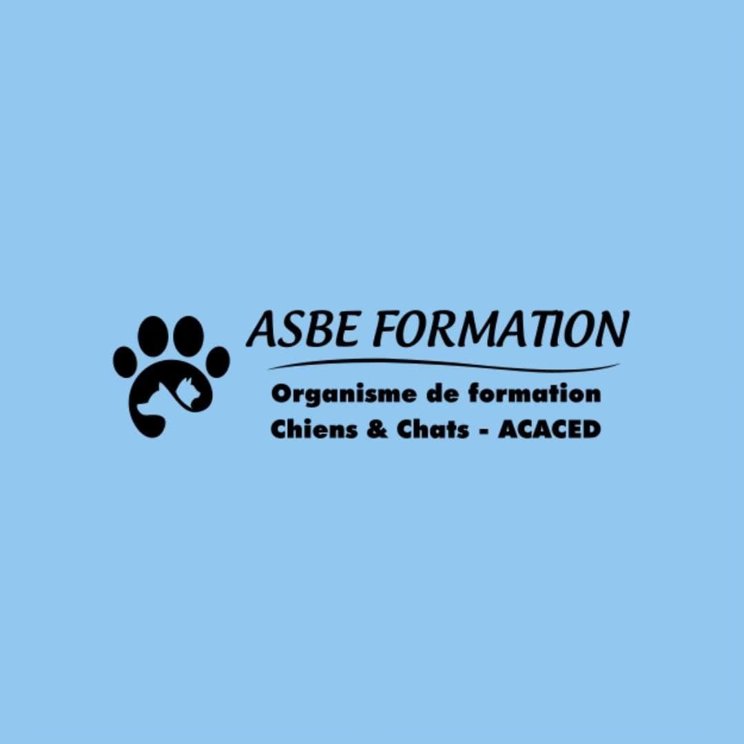 Formation métier Chiens et chats Adulte